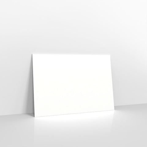 White Blue Opaque Self Seal Business Envelopes