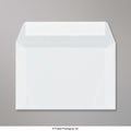 B8C4 - Clear Translucent Envelopes - Translucent Envelopes