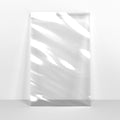 PLA216155 - Transparent Biodegradable Bags - Biodegradable Bags